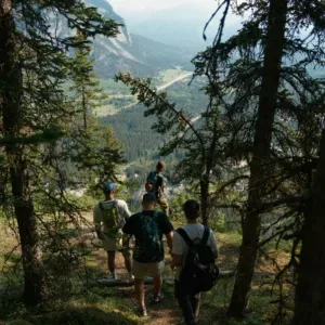 Guided Walk