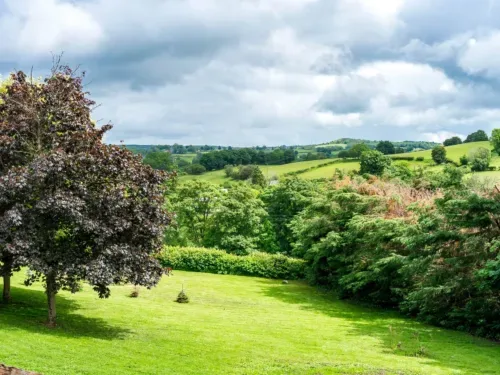 Photo Of Nearby Landscape Forest Hills