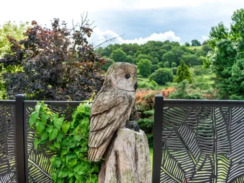 Too Wit Carved Owl With Forest Backdrop