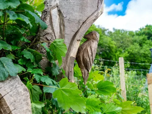 Wood Carving Of Woodpecker