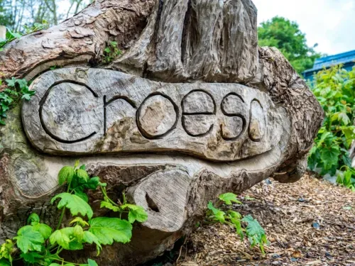 Wood Carving Of Word Creoso